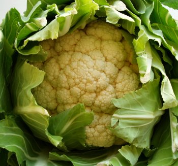 Cauliflower