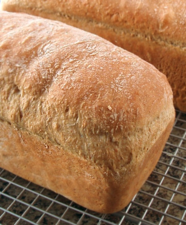 wholemeal loaves